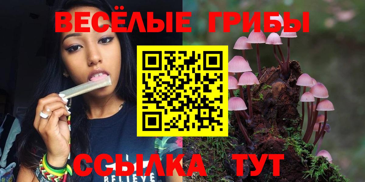 Псилоцибиновые грибы мицелий  Псилоцибиновые грибы мицелий  Старая Русса  Вход с VPN 